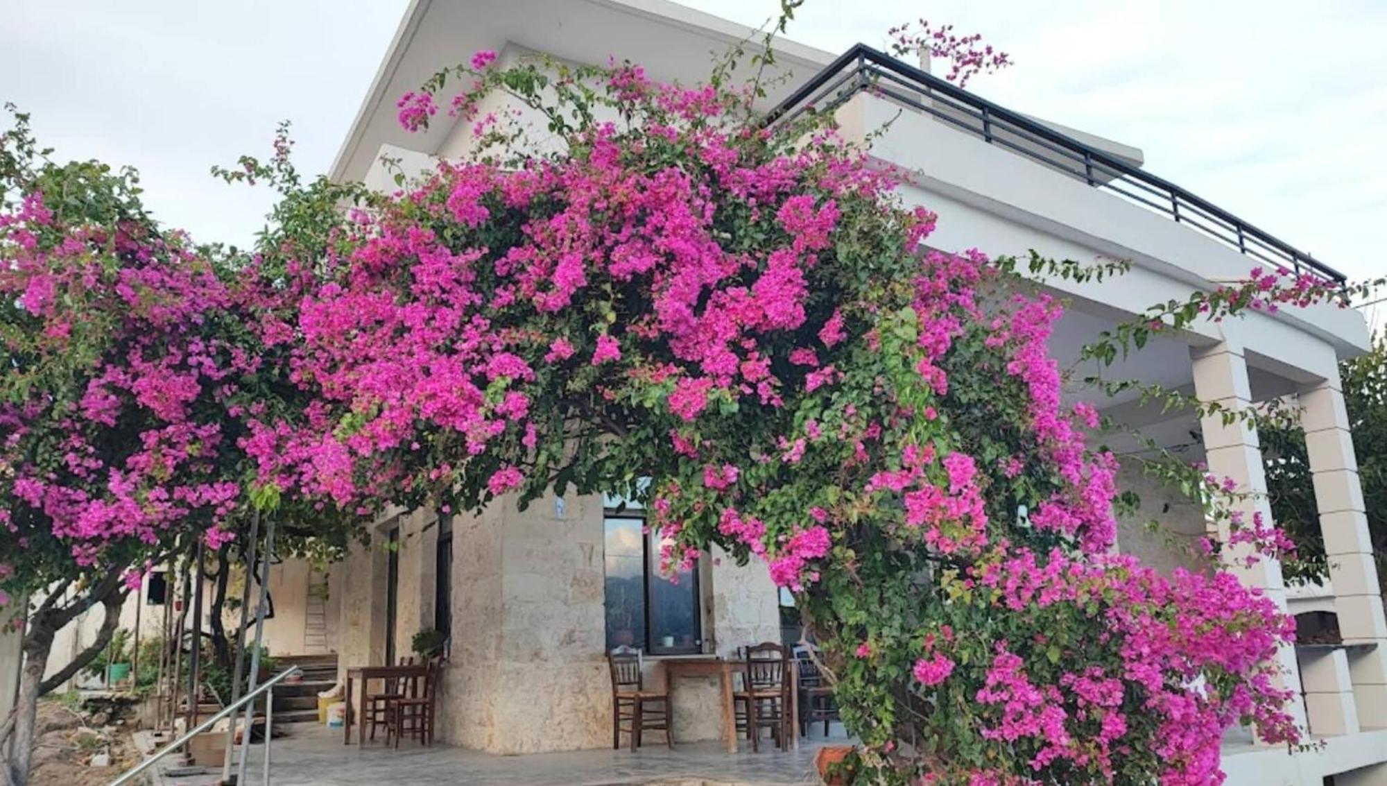Glikanisos House Nipos - Ideal For Hikers And Families 2Bd, 6Pl 10Min To Beach Esterno foto
